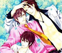 Couverture de Houkago no Love Call