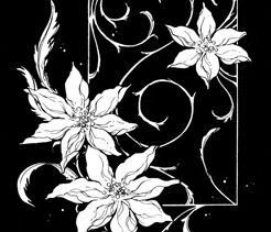 Couverture de Night Flower
