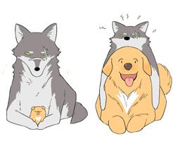 Couverture de Papa Wolf and the Puppy