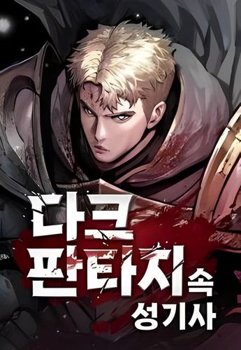 Couverture de A Paladin in Dark Fantasy
