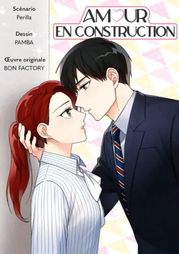 Couverture de Amour En Construction