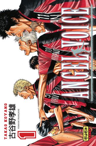 Couverture de Angel Voice