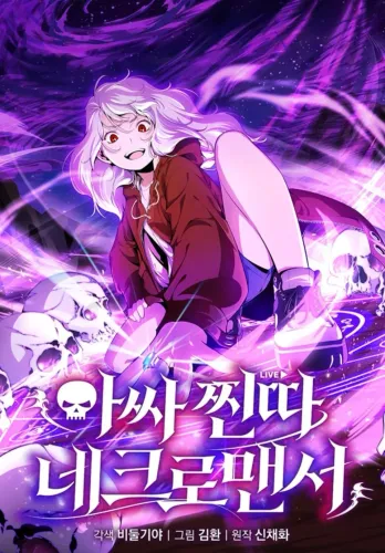 Couverture de Awesome Shut In Necromancer