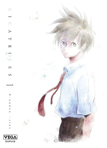 Couverture de Cicatrices
