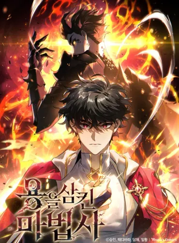 Couverture de Dragon Devouring Mage 5942