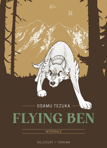 Couverture de Flying Ben