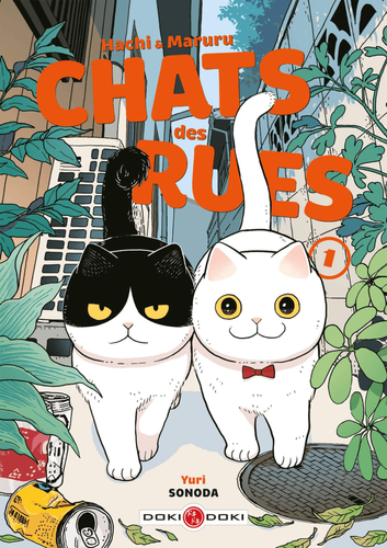 Couverture de Hachi & Maruru - Chats des rues