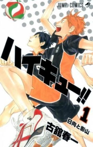 Couverture de Haikyuu