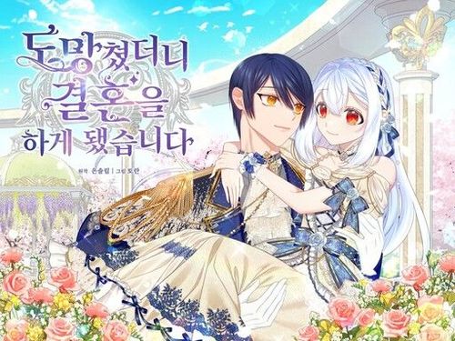 Couverture de I Ran Away And Got Married