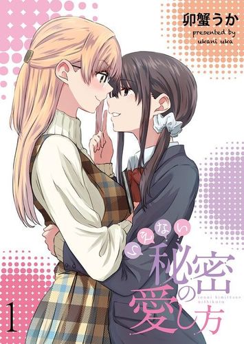 Couverture de Ienai Himitsu No Aishikata