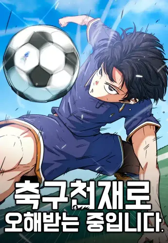 Couverture de I've Been Mistaken For A Soccer Genius