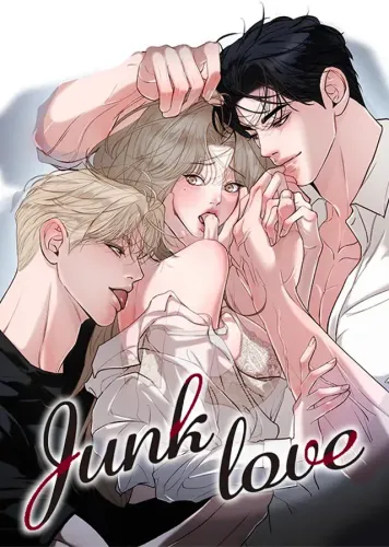 Couverture de junk love