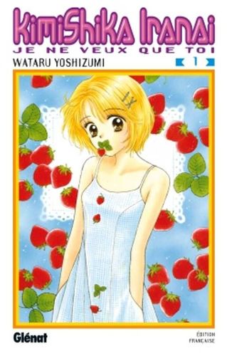 Couverture de Kimi Shika Iranai