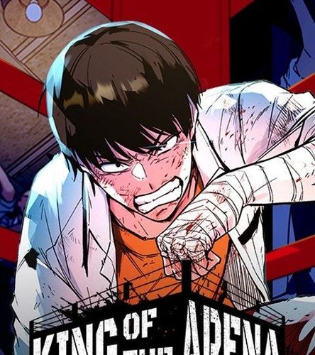 Couverture de King of the Arena