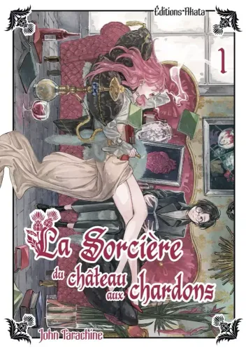 Couverture de La Sorciere Du Chateau Aux Chardons
