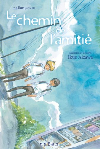 Couverture de Le chemin de l'amitié