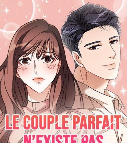 Couverture de Le couple parfait n'existe pas