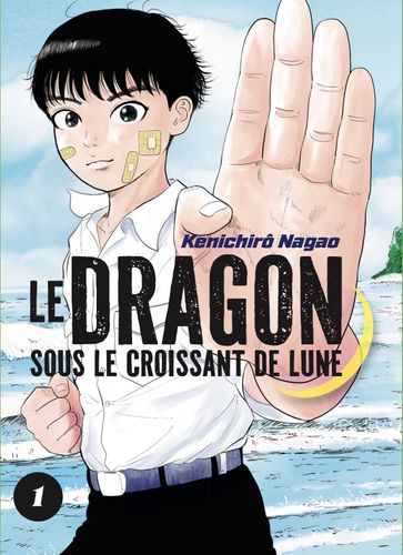 Couverture de Le Dragon sous le croissant de lune