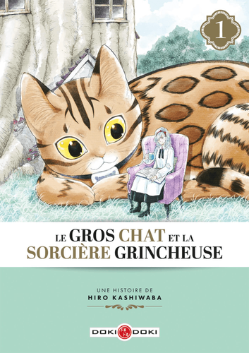 Couverture de Le Gros Chat et la Sorcière grincheuse