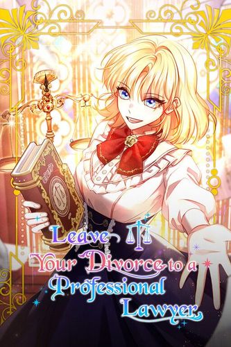 Couverture de Leave The Divorce To A Professional Lawyer