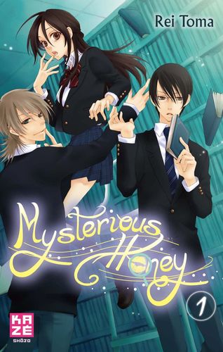 Couverture de Mysterious Honey