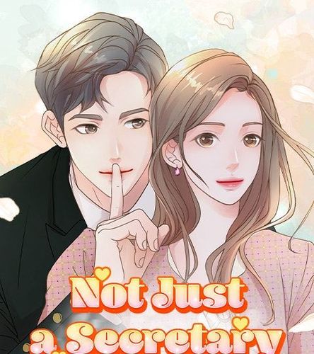 Couverture de Not Just a Secretary