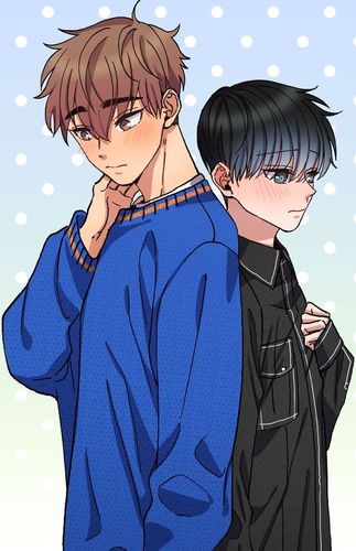 Couverture de Perfect Replacement
