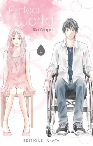 Couverture de Perfect World