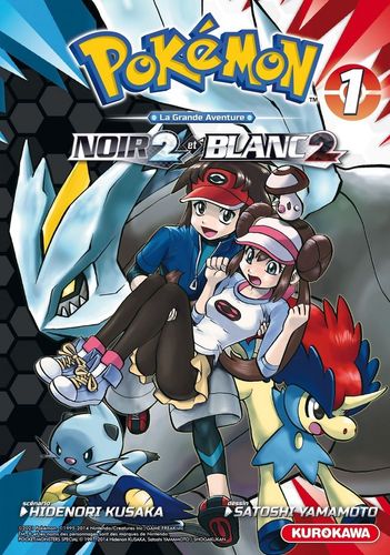 Couverture de Pokémon Noir 2 et Blanc 2