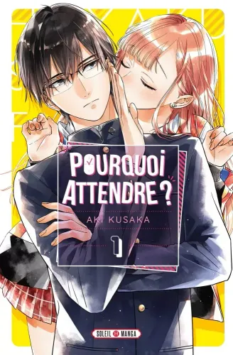 Couverture de Pourquoi Attendre