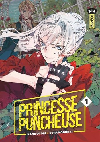 Couverture de Princesse Puncheuse