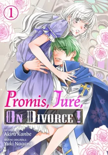 Couverture de Promis Jure On Divorce