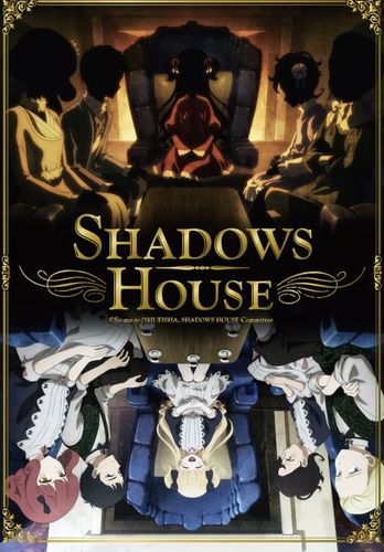 Couverture de Shadows House