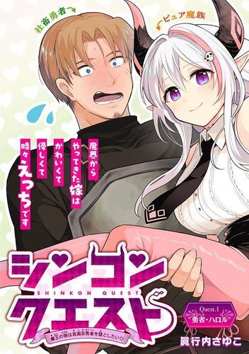 Couverture de Shinkon Quest