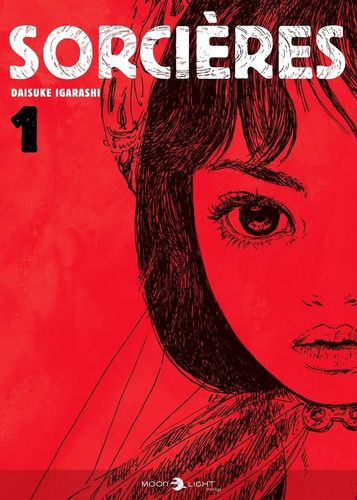 Couverture de Sorcières