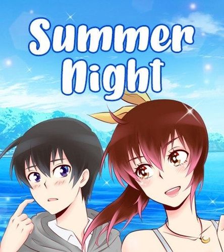 Couverture de Summer Night