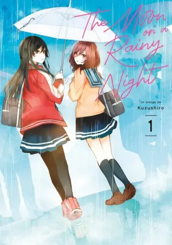 Couverture de The Moon on a Rainy Night