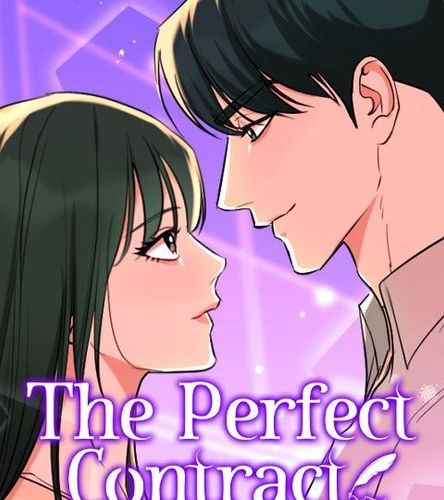 Couverture de The Perfect Contract