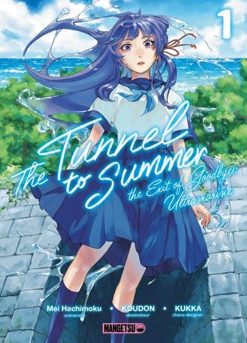 Couverture de Tunnel To Summer