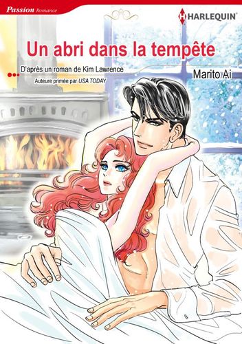 Couverture de Un abri dans la tempête