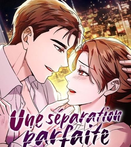 Couverture de Une séparation parfaite