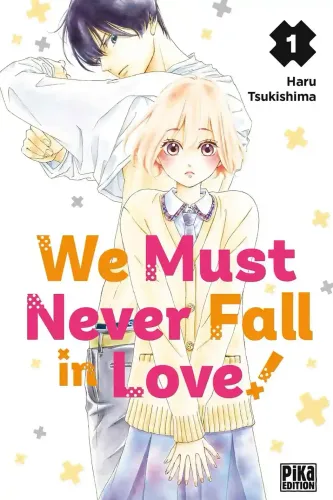 Couverture de We Must Never Fall In Love