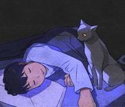 Couverture de A Cat's Tale