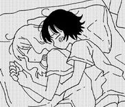 Couverture de A Couple Diverging