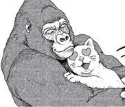 Couverture de An Extremely Attractive Gorilla