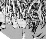 Couverture de Anima