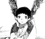 Couverture de Black Wings
