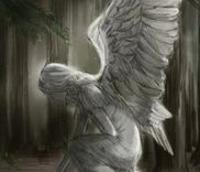 Couverture de Dear Angel
