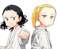 Couverture de Fighting Girls