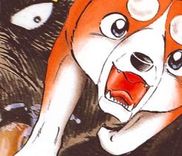 Couverture de Ginga Densetsu Riki